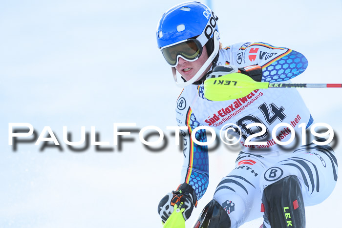 FIS Slalom + NJC Damen + FIS Herren 27.01.2019