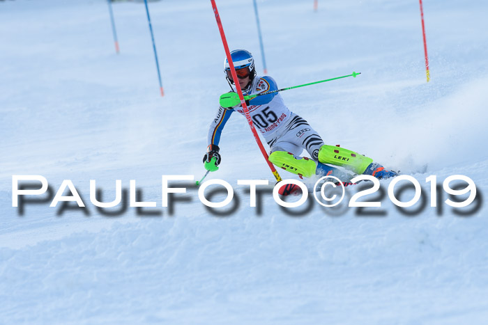 FIS Slalom + NJC Damen + FIS Herren 27.01.2019