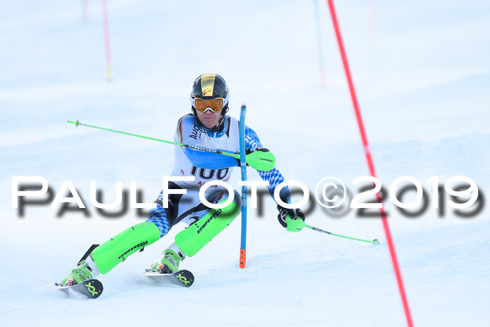 FIS Slalom + NJC Damen + FIS Herren 27.01.2019