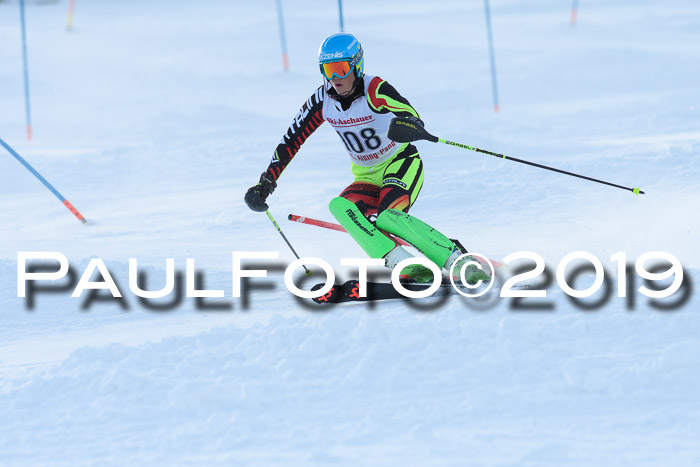 FIS Slalom + NJC Damen + FIS Herren 27.01.2019