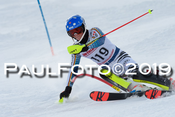 FIS Slalom + NJC Damen + FIS Herren 27.01.2019