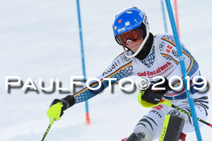 FIS Slalom + NJC Damen + FIS Herren 27.01.2019