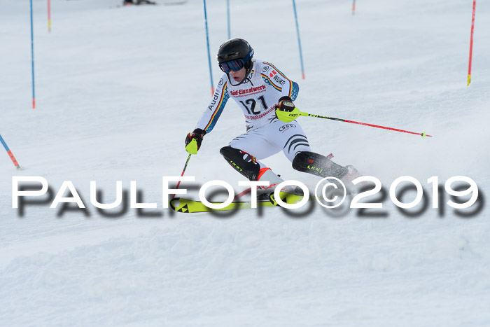 FIS Slalom + NJC Damen + FIS Herren 27.01.2019