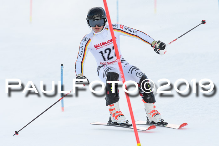 FIS Slalom + NJC Damen + FIS Herren 27.01.2019
