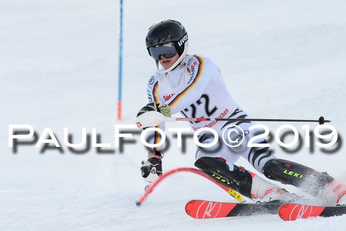 FIS Slalom + NJC Damen + FIS Herren 27.01.2019