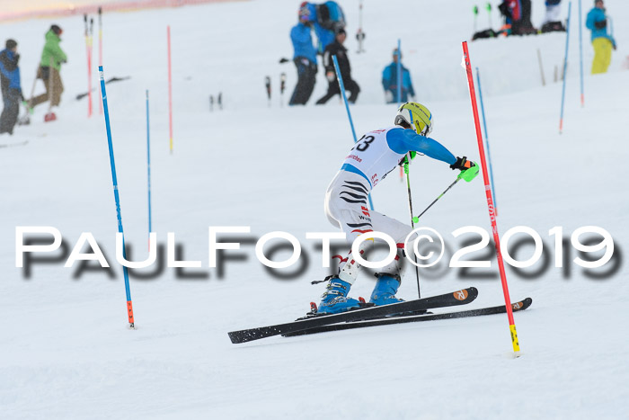 FIS Slalom + NJC Damen + FIS Herren 27.01.2019