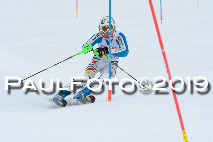FIS Slalom + NJC Damen + FIS Herren 27.01.2019