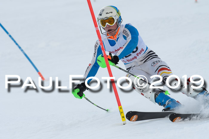 FIS Slalom + NJC Damen + FIS Herren 27.01.2019
