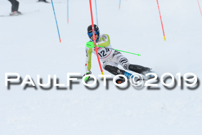 FIS Slalom + NJC Damen + FIS Herren 27.01.2019
