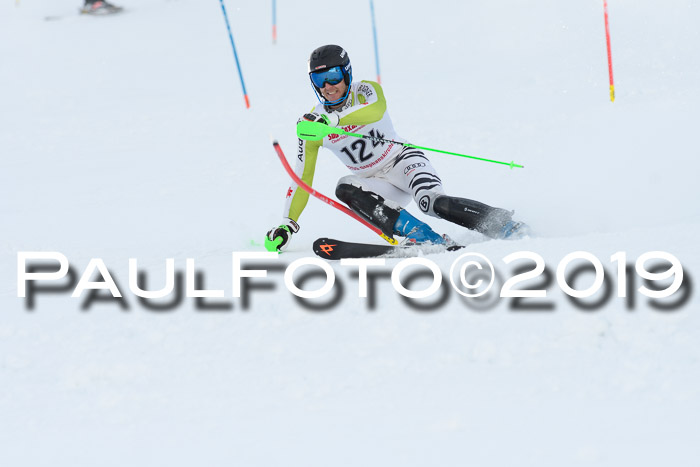 FIS Slalom + NJC Damen + FIS Herren 27.01.2019