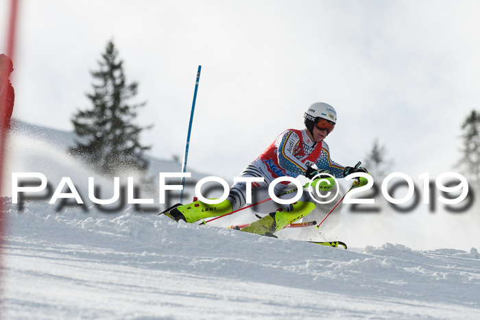 FIS Slalom + NJC Damen + FIS Herren 27.01.2019