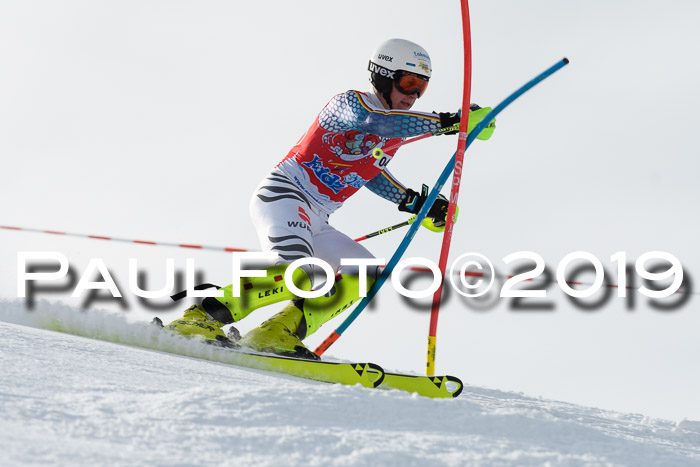 FIS Slalom + NJC Damen + FIS Herren 27.01.2019