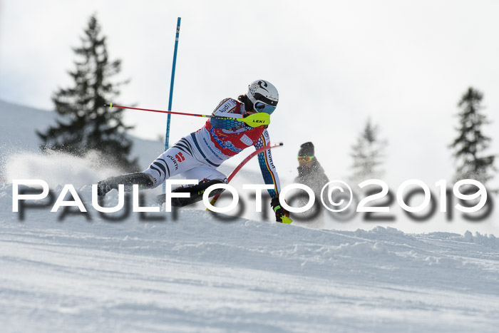 FIS Slalom + NJC Damen + FIS Herren 27.01.2019