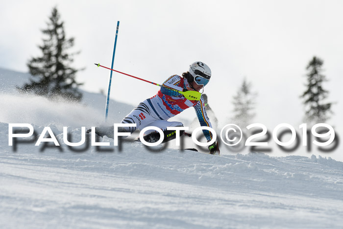 FIS Slalom + NJC Damen + FIS Herren 27.01.2019