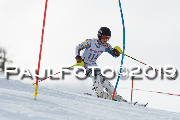FIS Slalom + NJC Damen + FIS Herren 27.01.2019
