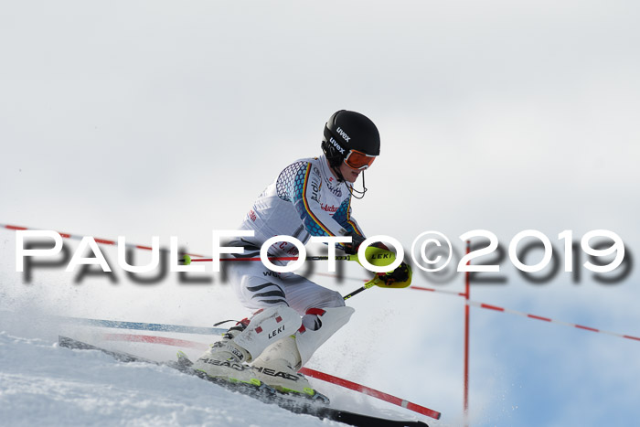 FIS Slalom + NJC Damen + FIS Herren 27.01.2019