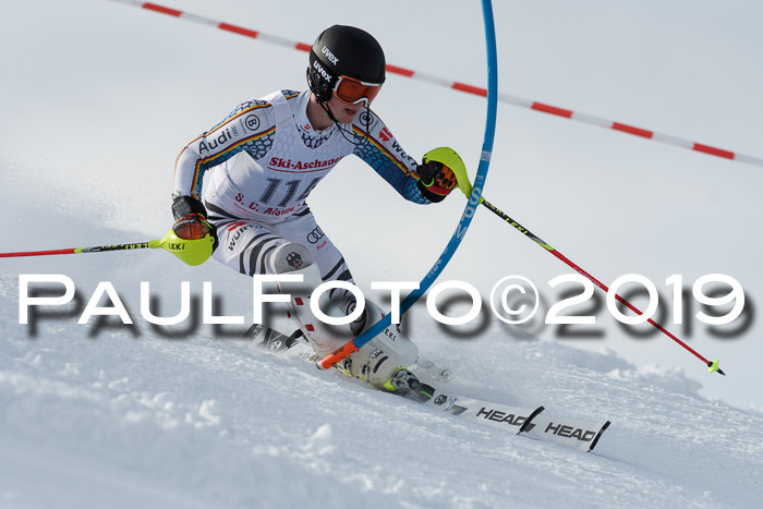 FIS Slalom + NJC Damen + FIS Herren 27.01.2019