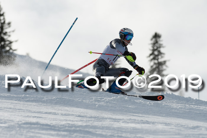 FIS Slalom + NJC Damen + FIS Herren 27.01.2019