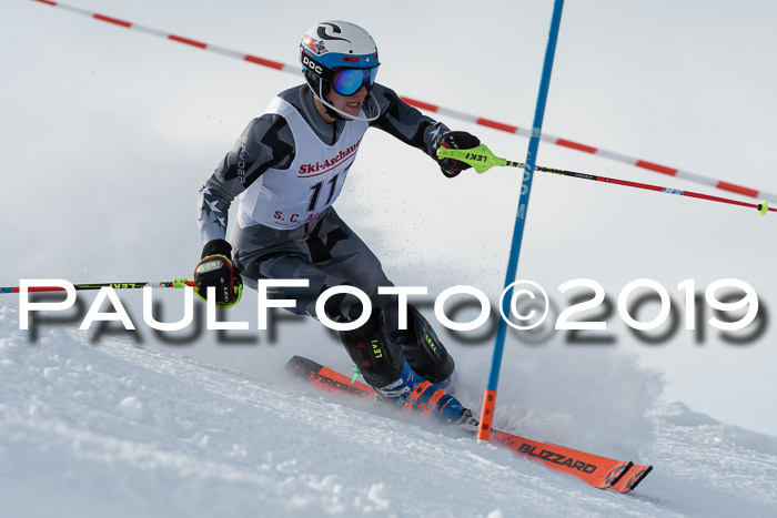 FIS Slalom + NJC Damen + FIS Herren 27.01.2019