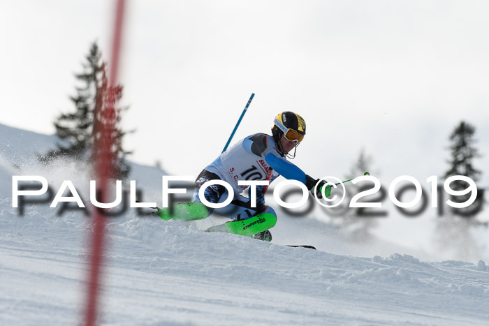 FIS Slalom + NJC Damen + FIS Herren 27.01.2019