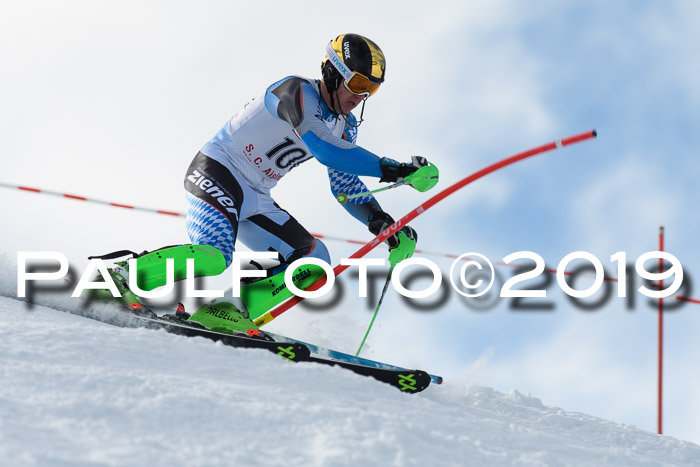 FIS Slalom + NJC Damen + FIS Herren 27.01.2019