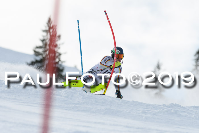 FIS Slalom + NJC Damen + FIS Herren 27.01.2019