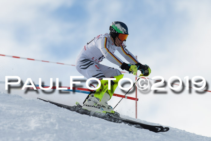 FIS Slalom + NJC Damen + FIS Herren 27.01.2019