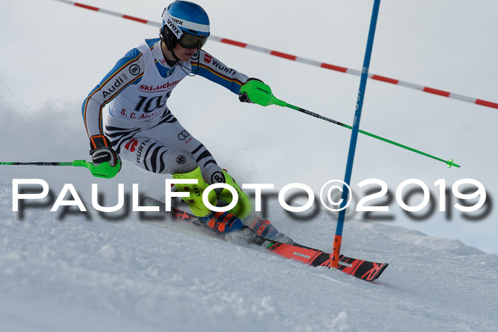 FIS Slalom + NJC Damen + FIS Herren 27.01.2019