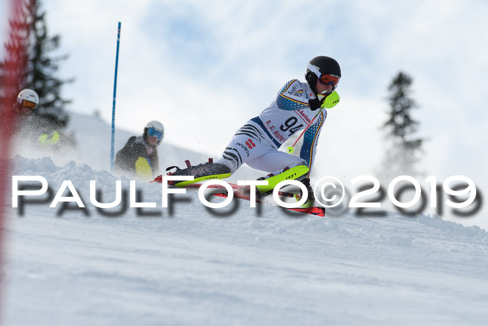 FIS Slalom + NJC Damen + FIS Herren 27.01.2019