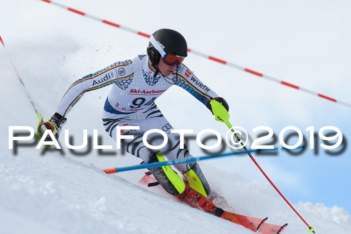 FIS Slalom + NJC Damen + FIS Herren 27.01.2019