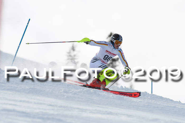 FIS Slalom + NJC Damen + FIS Herren 27.01.2019