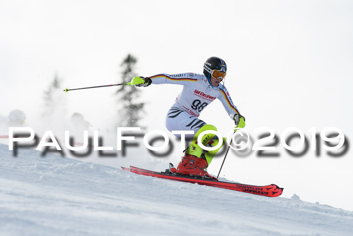 FIS Slalom + NJC Damen + FIS Herren 27.01.2019