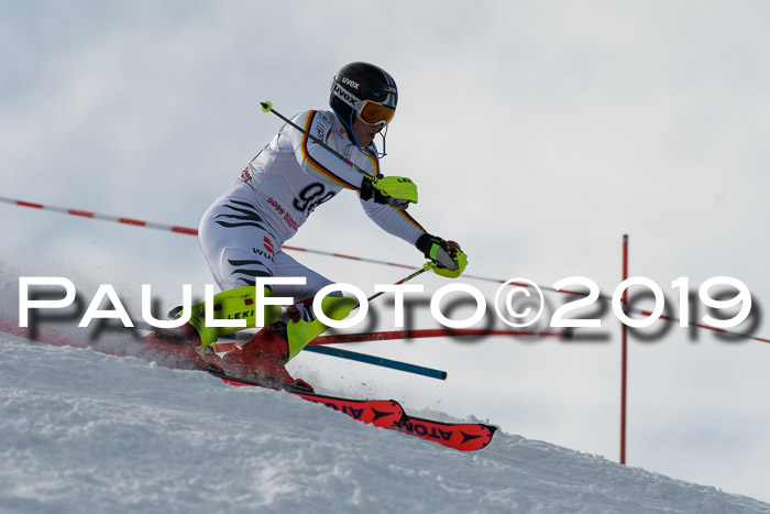 FIS Slalom + NJC Damen + FIS Herren 27.01.2019