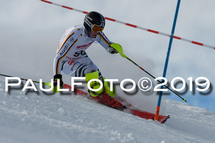 FIS Slalom + NJC Damen + FIS Herren 27.01.2019