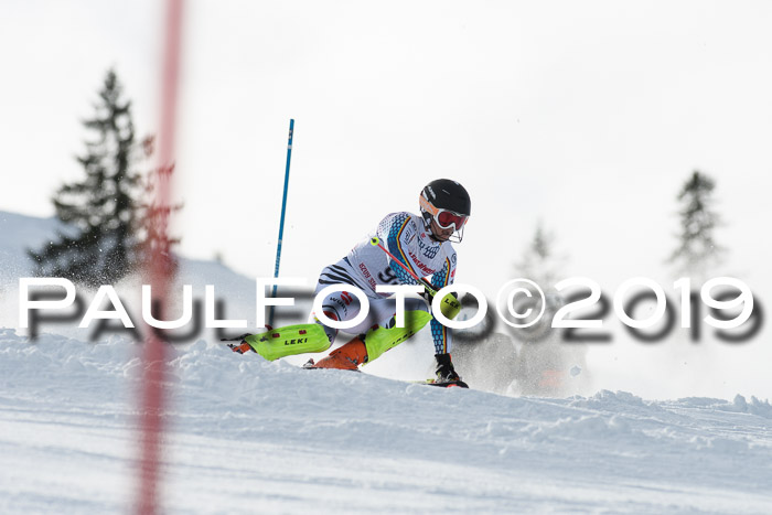 FIS Slalom + NJC Damen + FIS Herren 27.01.2019