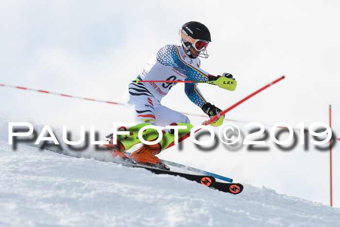 FIS Slalom + NJC Damen + FIS Herren 27.01.2019