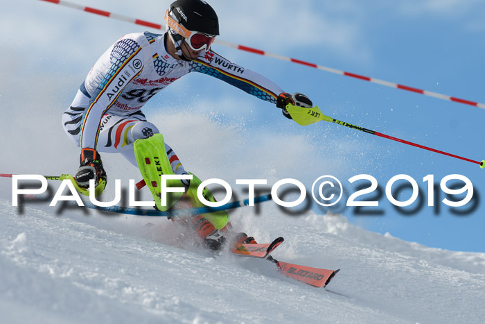 FIS Slalom + NJC Damen + FIS Herren 27.01.2019