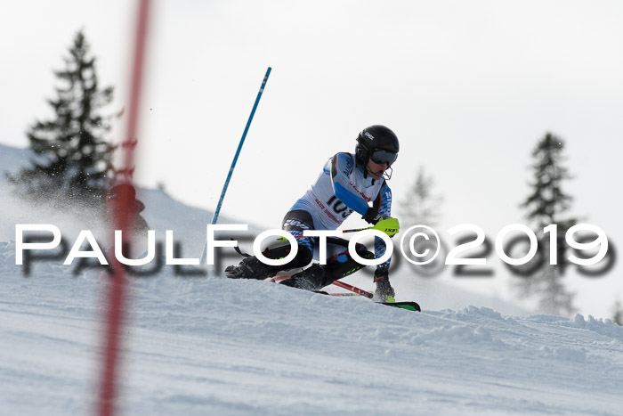 FIS Slalom + NJC Damen + FIS Herren 27.01.2019