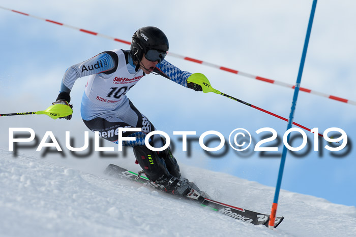 FIS Slalom + NJC Damen + FIS Herren 27.01.2019