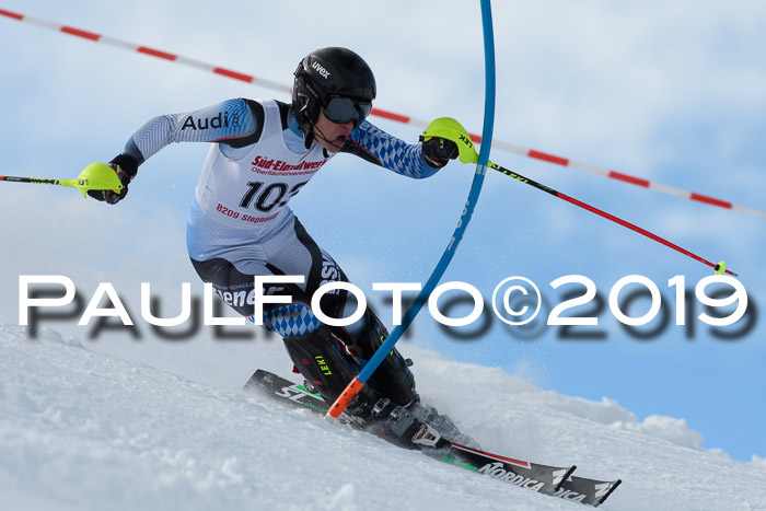FIS Slalom + NJC Damen + FIS Herren 27.01.2019