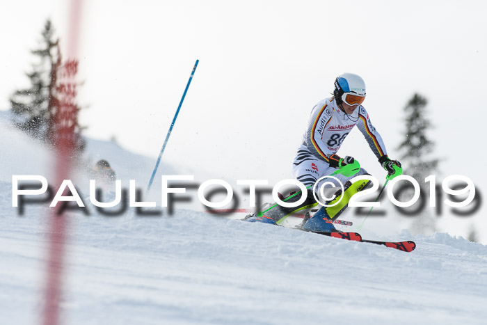 FIS Slalom + NJC Damen + FIS Herren 27.01.2019