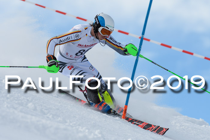 FIS Slalom + NJC Damen + FIS Herren 27.01.2019
