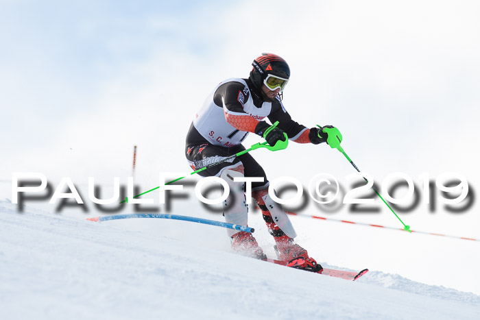 FIS Slalom + NJC Damen + FIS Herren 27.01.2019