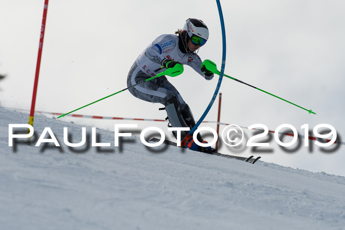 FIS Slalom + NJC Damen + FIS Herren 27.01.2019