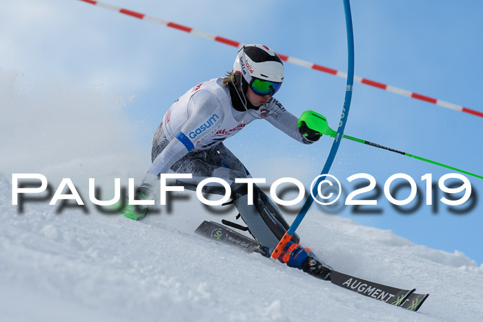FIS Slalom + NJC Damen + FIS Herren 27.01.2019