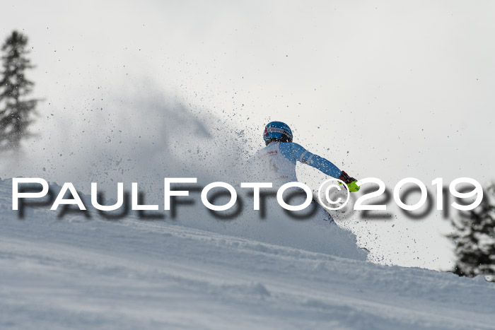 FIS Slalom + NJC Damen + FIS Herren 27.01.2019