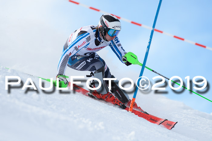 FIS Slalom + NJC Damen + FIS Herren 27.01.2019