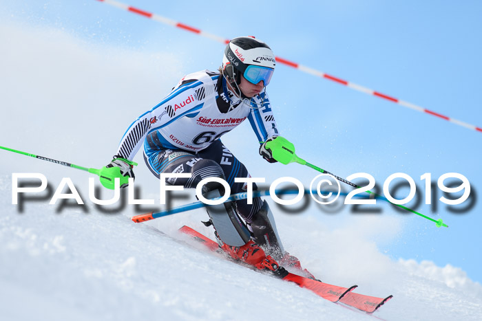 FIS Slalom + NJC Damen + FIS Herren 27.01.2019