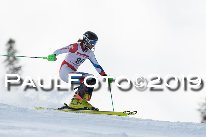 FIS Slalom + NJC Damen + FIS Herren 27.01.2019
