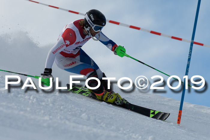 FIS Slalom + NJC Damen + FIS Herren 27.01.2019